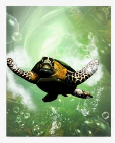 Cute Turtle Poster 16 X20 - Hawksbill Sea Turtle, HD Png Download, Transparent PNG