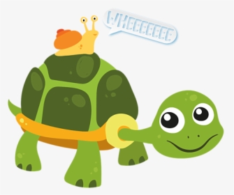 Turtle Snail Whee, HD Png Download, Transparent PNG