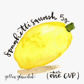 Watercolor Picture Of Spaghetti Squash Copyright Yellowglassdish - Meyer Lemon, HD Png Download, Transparent PNG