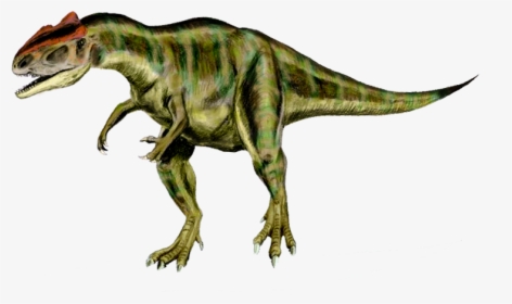 Allosaurus 2 - Allosaurus Png, Transparent Png, Transparent PNG
