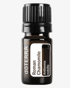 Doterra Cptg Roman Chamomile Essential Oil 5ml - Doterra Melissa, HD Png Download, Transparent PNG