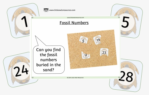 Fossil Numbers Cover - Cartoon, HD Png Download, Transparent PNG