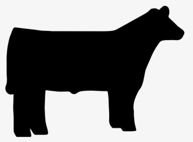 Beef Cattle Angus Cattle Sheep Livestock Show Clip - Show Steer Silhouette, HD Png Download, Transparent PNG