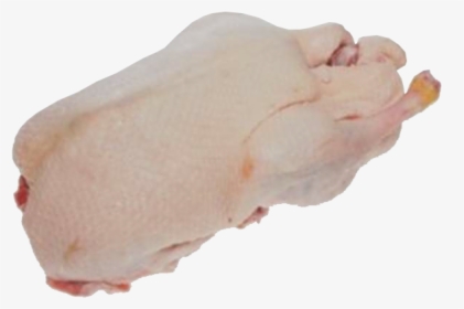 Fresh Meat Duck, HD Png Download, Transparent PNG