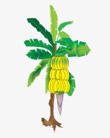 Vector Banana Tree Png, Transparent Png, Transparent PNG