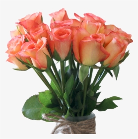 High Quality Natural Rose Flowers Fresh Cut Flowers - High Quality Rose Flower Png, Transparent Png, Transparent PNG