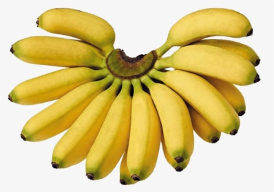 Lady Finger Banana Fruit, HD Png Download, Transparent PNG