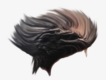 Hair Png For Photoshop, Transparent Png, Transparent PNG