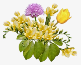 Flowers, Bouquet, Posy, Freesia, Tulip, Composition - Bouquet Of Tulip Transparent, HD Png Download, Transparent PNG