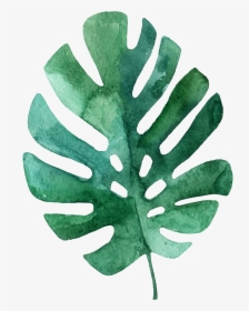 Draw Simple Tropical Leaves, HD Png Download, Transparent PNG