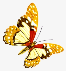 Hd Beautiful Colorful Butterfly Png - Hd Beautiful Png, Transparent Png, Transparent PNG