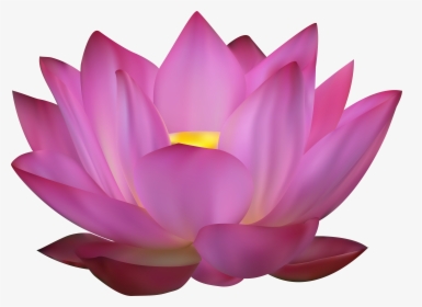 Flower Pink Lotus Png, Transparent Png, Transparent PNG