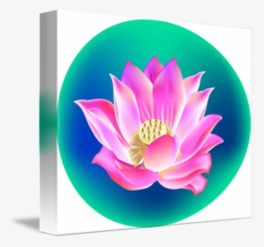 Clip Art Lotus Flower Pictures - Lotus Flower Clip Art, HD Png Download, Transparent PNG