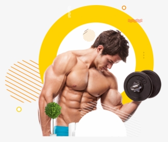 Dumbbell Clipart Male Fitness - Bodybuilding Png, Transparent Png, Transparent PNG