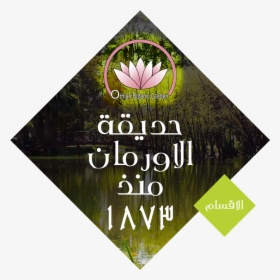Flyer, HD Png Download, Transparent PNG