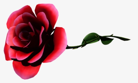 Rosa, Flower, Garden, Nature, Flowers, Bouquet, Plant - Png Rose Laying Down, Transparent Png, Transparent PNG