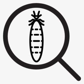 Nsw Sellers Icon - Termite, HD Png Download, Transparent PNG