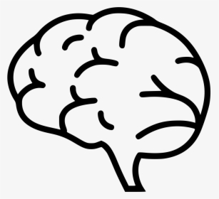 Brain - Brain Png Icon, Transparent Png, Transparent PNG