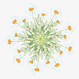 Simple Creative Watercolor Flower Decoration Png And - Watercolor Daisy Doodle Png, Transparent Png, Transparent PNG