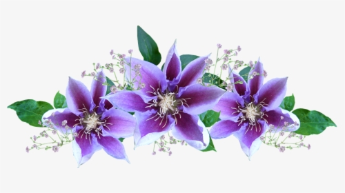 Gif Flowers White Background, HD Png Download, Transparent PNG