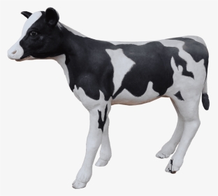 Cow Holstein Calf - Dairy Cow, HD Png Download, Transparent PNG