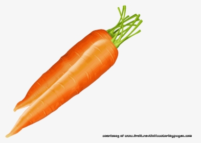 Carrots Clipart Fruit - Овощной Искусства Из Моркови, HD Png Download, Transparent PNG