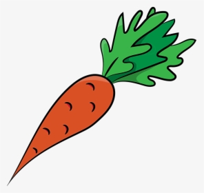Carrots, Carrot, Vegetables, Healthy, Food, Bio, Fresh - Sketsa Gambar Wortel, HD Png Download, Transparent PNG