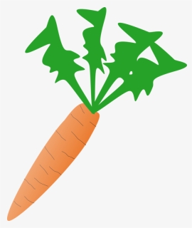 Food, Cartoon, Free, Salad, Plant, Carrot, Vegetable - Carrot Clip Art, HD Png Download, Transparent PNG