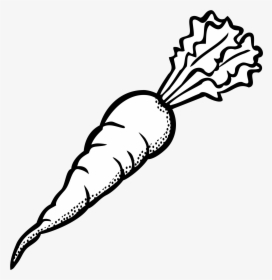 Drawn Carrot Vegetable - Carrot Clipart Black And White, HD Png Download, Transparent PNG