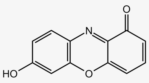 Neutral 7-hydroxyphenoxazone - 4 Propyl Benzaldehyde, HD Png Download, Transparent PNG