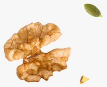 Img/footer/nut Seed - Pastry, HD Png Download, Transparent PNG