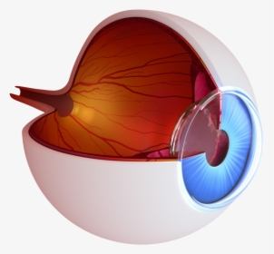 Inside An Eye, HD Png Download, Transparent PNG