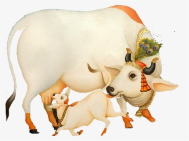 ऐसी है मेरी भगवती गौ माता - Cow With Krishna Png, Transparent Png, Transparent PNG