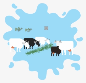 Quality Milk From Well-treated Cows - Dairy Cow, HD Png Download, Transparent PNG