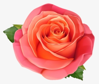 #freetoedit#eemput #png #rose #flowers - Flowers Roses Clipart, Transparent Png, Transparent PNG