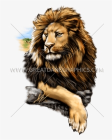 Proud Lion - T-shirt, HD Png Download, Transparent PNG