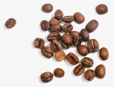 Coffee Seeds Png, Transparent Png, Transparent PNG