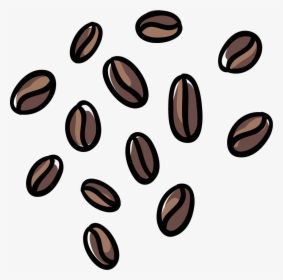 Coffee Beans - Seed, HD Png Download, Transparent PNG