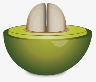 Cross Section Of Unripe Coffee Cherry - Circle, HD Png Download, Transparent PNG
