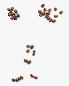 Coffee-beans - Seed, HD Png Download, Transparent PNG