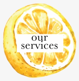 Our Services - Bitter Orange, HD Png Download, Transparent PNG