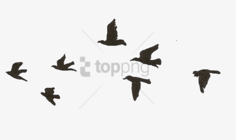 Bird Gif Png - Birds Flying Gif Png, Transparent Png, Transparent PNG