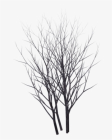 Winter Bush 05 By Wolverine04 - Bushes Transparent Background Silhouette, HD Png Download, Transparent PNG