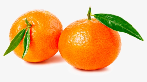 Mandarina, HD Png Download, Transparent PNG