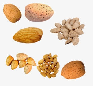 Nut U Cu Du - Almond In Peach Nut, HD Png Download, Transparent PNG