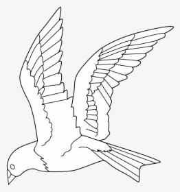 Clip Art White Bird - Birds Flying Black And White, HD Png Download, Transparent PNG