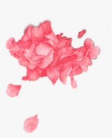 #troyesivan #troyesivanwild #troyesivanflowers #pink - Troye Sivan Flower Png, Transparent Png, Transparent PNG