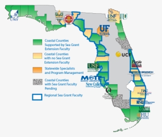 University Of Florida On Map, HD Png Download, Transparent PNG