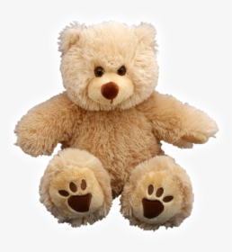 Wholesale Teddy Bears New Stuffed 10 16, HD Png Download, Transparent PNG