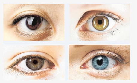 Colour Changing Eye Drops, HD Png Download, Transparent PNG